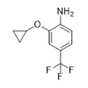 CAS No:  1243357-09-6      2-Cyclopropoxy